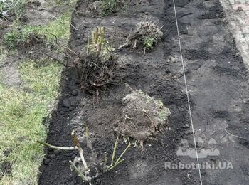 Садівництво та Озеленення