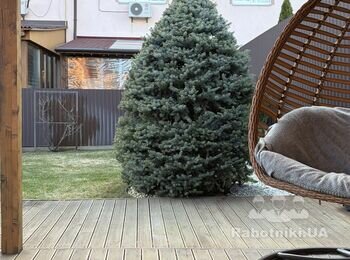 Садівництво та Озеленення