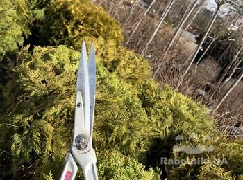 Садівництво та Озеленення