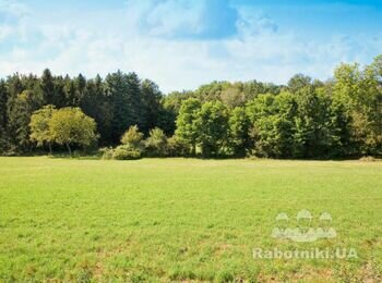 Геологія(геодезія)