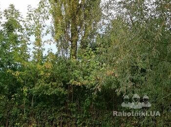 Розписка ділянки