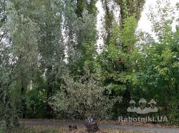 Розписка ділянки