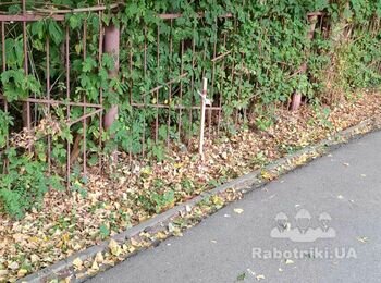 Розписка ділянки