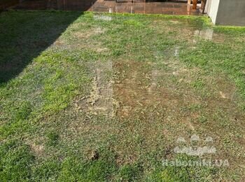 Відновлення газону 35 кв.м.