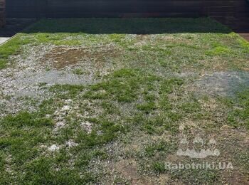Відновлення газону 35 кв.м.
