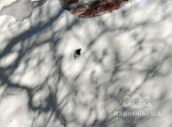 Поточний ремонт фасаду будівлі