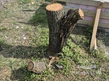 Сделать утепленную отмостку вокруг фундамента (бетон не заливать.)
