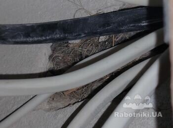 Заміна 5 міжкімнатних дверей