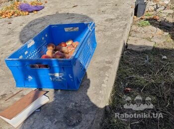 Будівництво прибудови на готовий фундамент