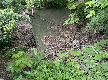 Вивіз сміття та прибирання фарбувального цеху 100 кв.м.