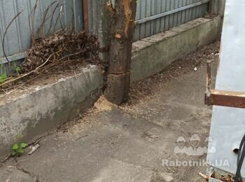 Викорчувати пні та утилізувати