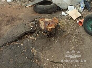 Викорчувати пні та утилізувати