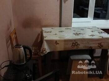 Косметичний та частковий ремонт