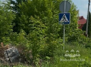 Очистити ділянку - Вирубати дерева