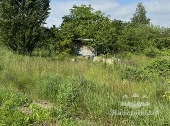 Очистити ділянку - Вирубати дерева