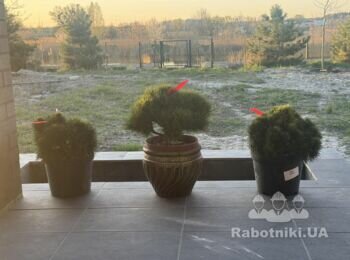 Укладання гранітної плитки с. Таценки