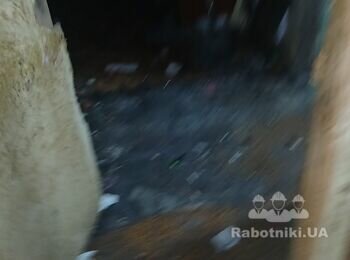 Нужно два человека викинуть вещи с комноти под болкон