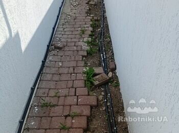 Перекладка тротуарної плитки у дворі приватного будинку