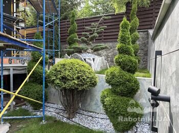 Стрижка, чистка, обработка, пересадка, полив сада.