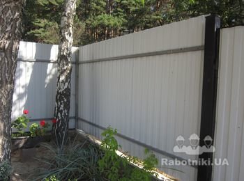 Забор из профнастила