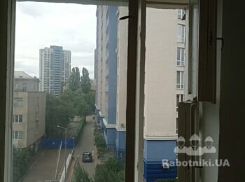 Чистка, покраска, поклейка уплотнителя на два балконних блока и окно.