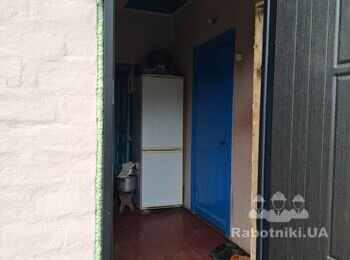 Дрібний ремонт приватного будинку