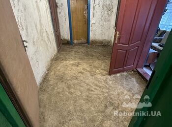 Ручна штукатурка стін старого будинку в селі (с. Шпендівка), 200 кв.м