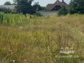 Потрібно покосити траву на ділянці