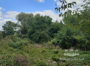 Розчистити ділянку 16 сот. від чагарників та дерев