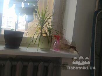 Віконні відкоси