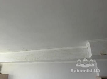 Мне нужно после протечки крыши присутствует плесень