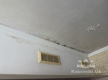 Мне нужно после протечки крыши присутствует плесень