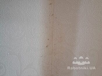 Відновлювальний ремонт кімнати після залиття