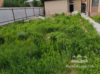 Розчищення ділянки від бур'яну та вивіз будівельного сміття
