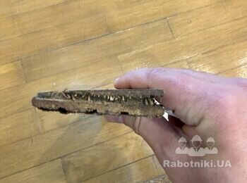 Відновлення паркету після затоплення