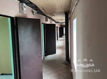 Покраска стен и потолка