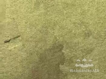 Хімчистка ковроліну