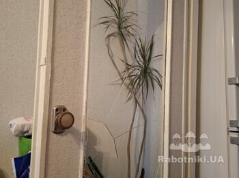 Замінити скло в міжкімнатних дверях