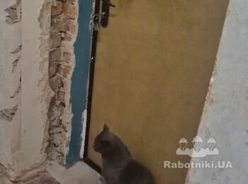 Капітальний ремонт двокімнатної квартири в Бучі
