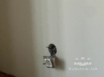 Роботи з електрикою та дрібний малярний ремонт