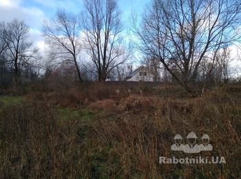 Расчистка участка от травы и поросли