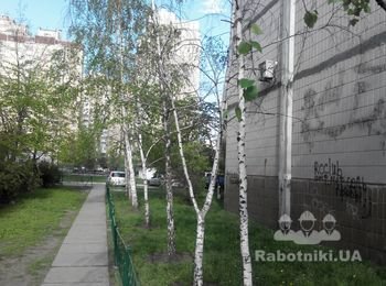 Спилить и вывезти сухостоой за 400 грн.