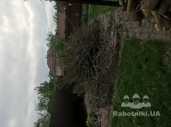 Попилить ветки и деревья