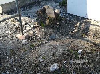 Выкорчевать 4 пенька