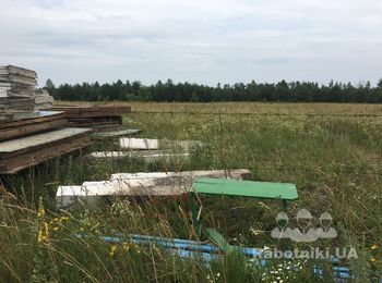 Разнорабочие на день .