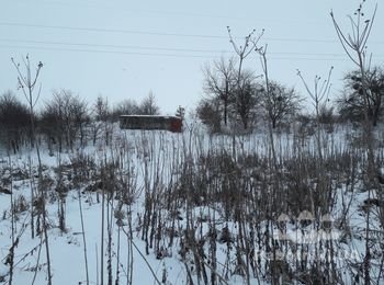 Расчистка участка от деревьев, кустарника и пней