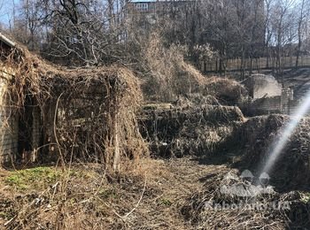 Очистить от кустов и старого хлама участок