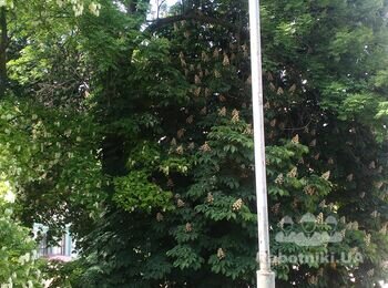 Нужны мастера на завтра