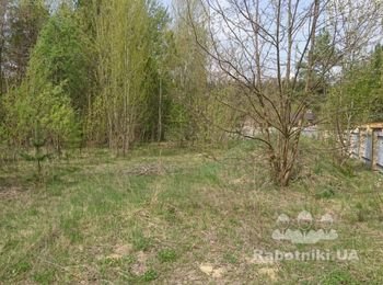 Подготовить участок к строительству. Гореничи, 12 соток