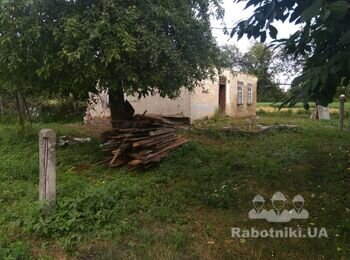 Спилить на участке деревья и вырезать всю дерев. растительность